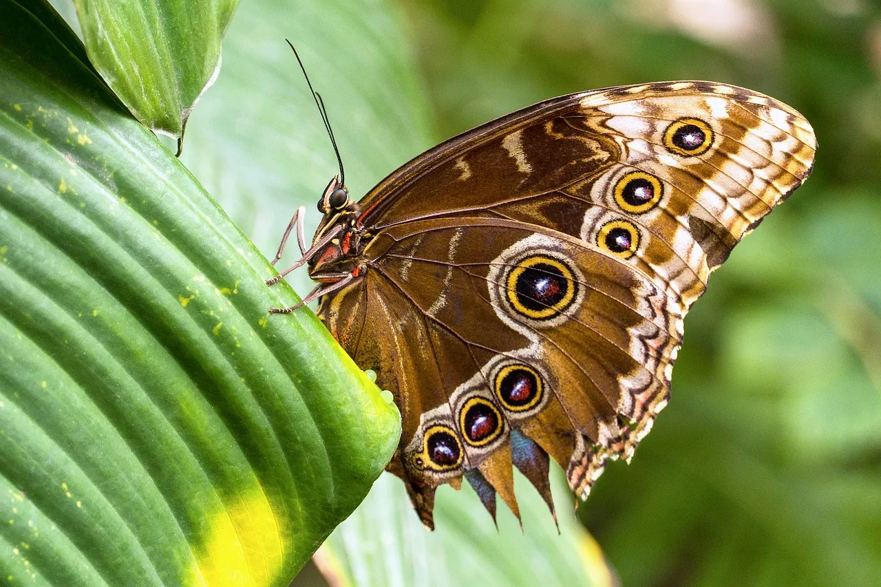 Connect Your Flutter Project with Google Firebase
