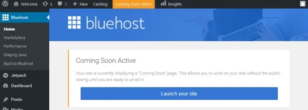 Publish your Blog